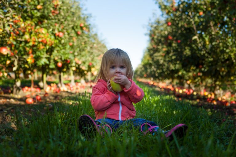 Jak komponować dietę dziecka, aby uniknąć niedoborów składników odżywczych i&nbsp;witamin?
